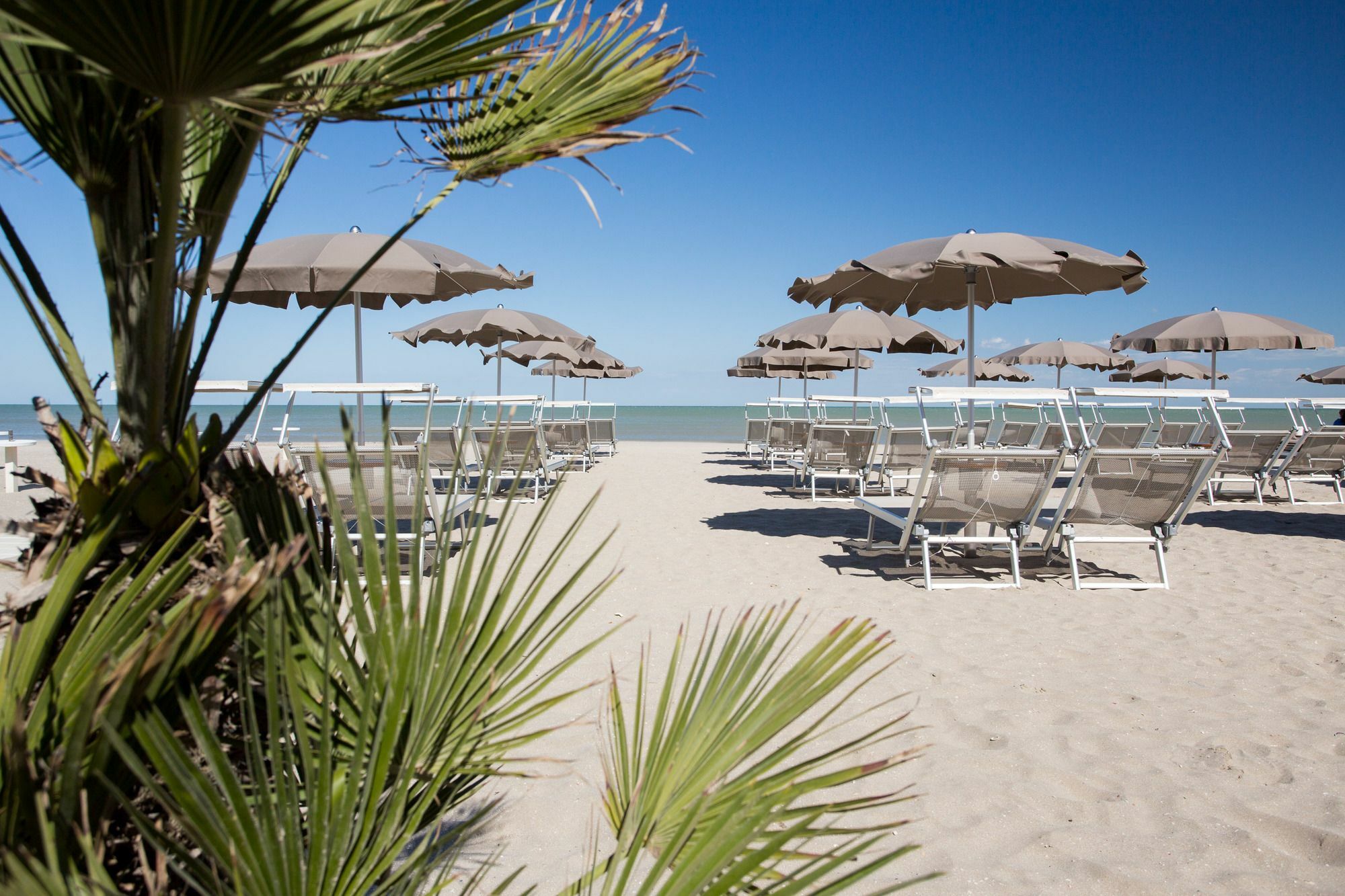 Hotel Solemare Milano Marittima Esterno foto